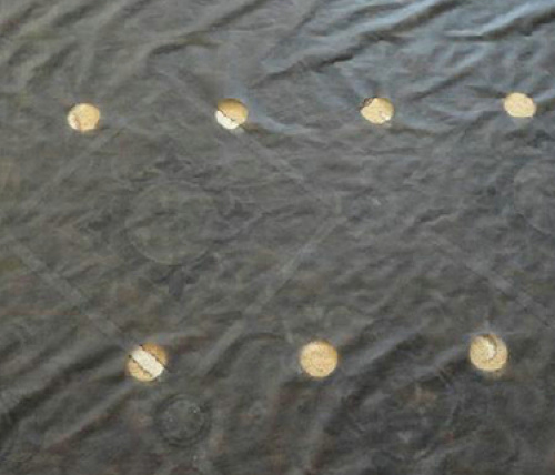 防草布銷(xiāo)售